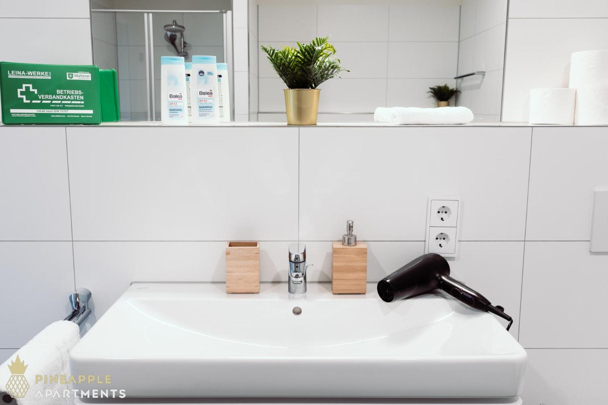 Pineapple Apartments Dresden Zwinger Ngoại thất bức ảnh